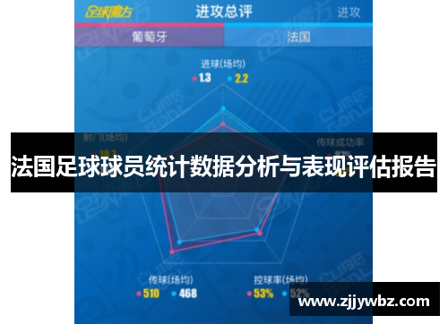 法国足球球员统计数据分析与表现评估报告