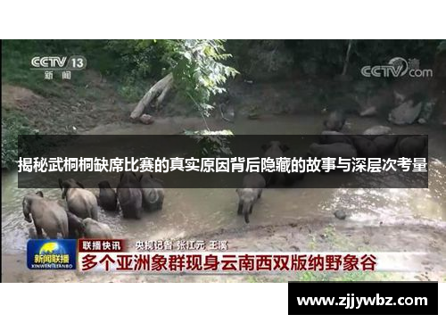 揭秘武桐桐缺席比赛的真实原因背后隐藏的故事与深层次考量